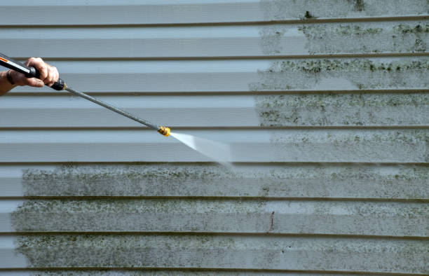Best Attic Mold Removal  in Presque Isle, ME