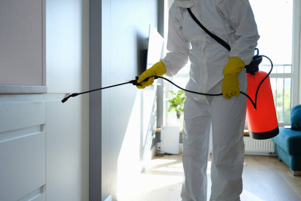 Best Residential Mold Removal  in Presque Isle, ME